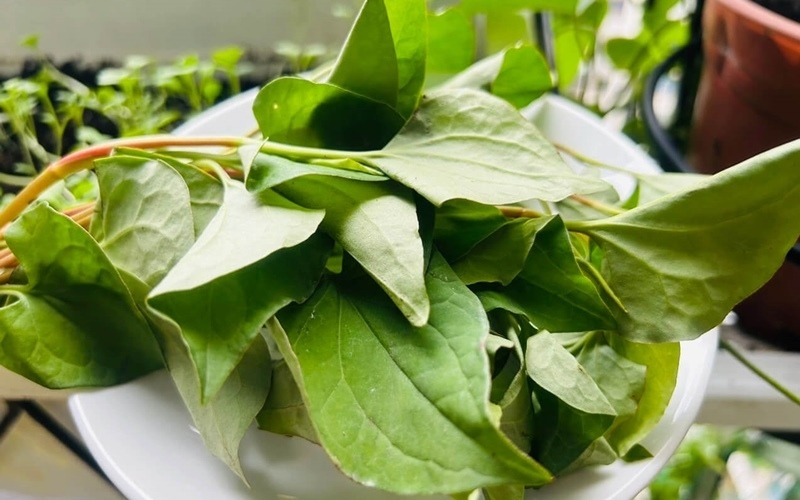sinh tố rau diếp cá hình 4