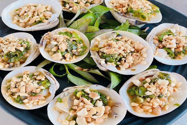 Sò chén (Hình 3)