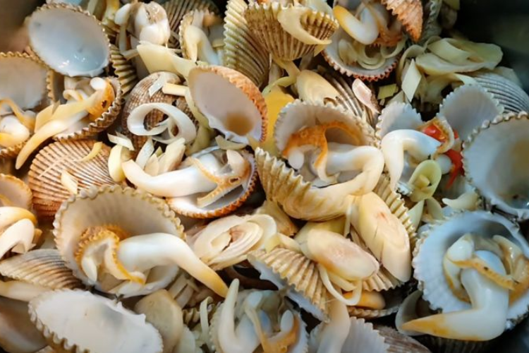 sò dương hấp sả 6