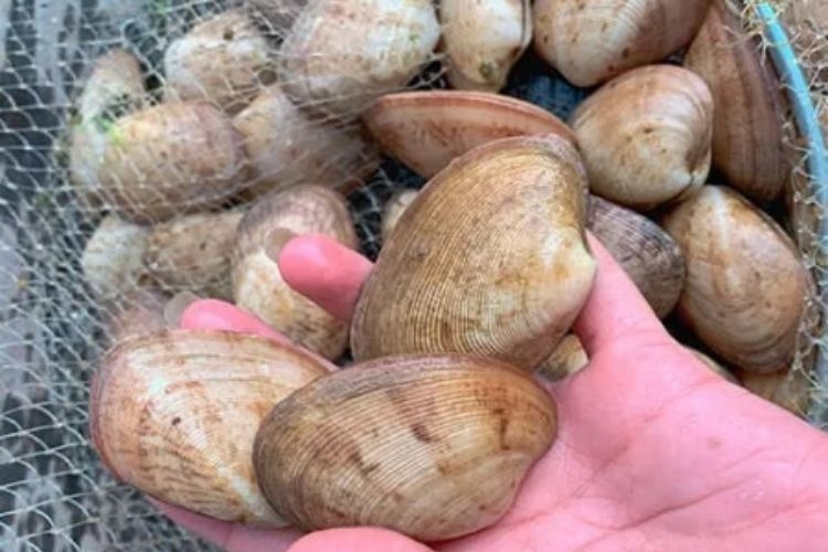 sò mía 1