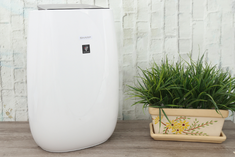 So s&aacute;nh m&aacute;y lọc kh&ocirc;ng kh&iacute; Sharp v&agrave; Electrolux - h&igrave;nh 1