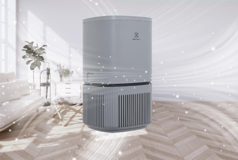 So s&aacute;nh m&aacute;y lọc kh&ocirc;ng kh&iacute; Sharp v&agrave; Electrolux - h&igrave;nh 5