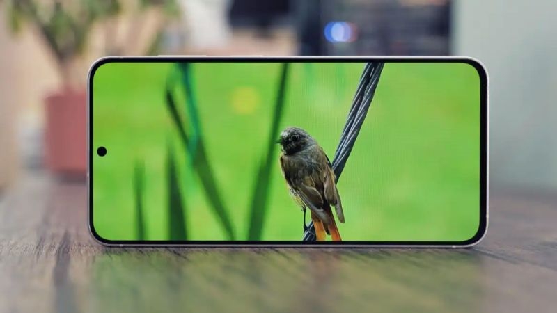 So sánh Samsung Galaxy S26 FE với OPPO Reno16 F về màn hình