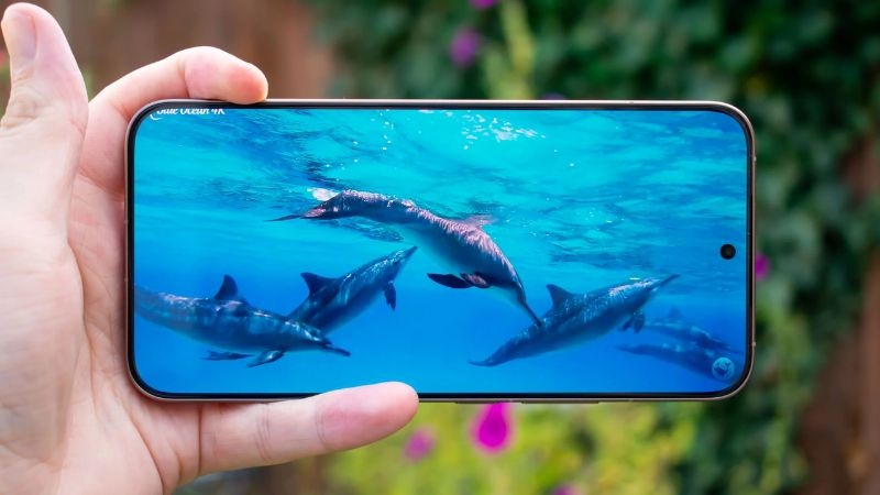So sánh Samsung Galaxy S26 FE vs Xiaomi 15T Pro về màn hình