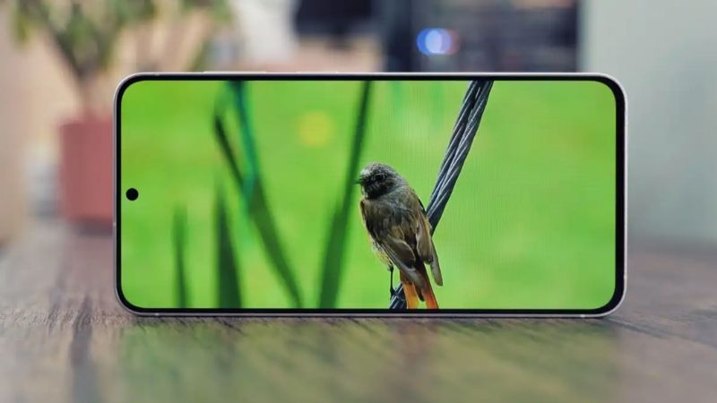 So sánh Samsung Galaxy S26 FE vs Xiaomi 17T về màn hình