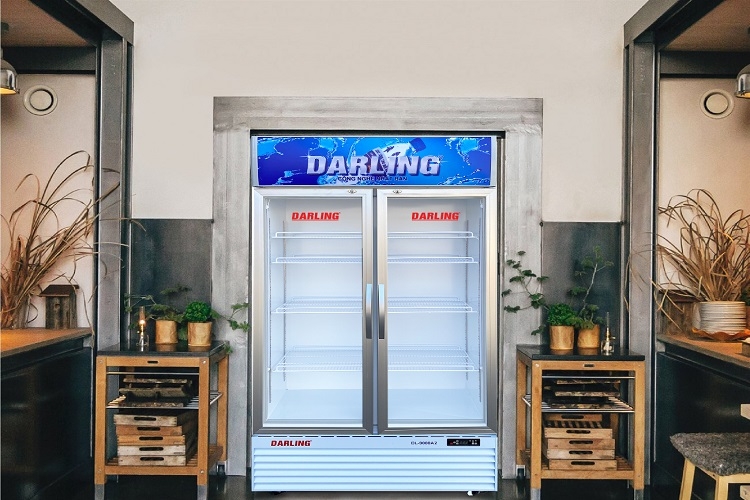 So s&aacute;nh tủ m&aacute;t Sanaky v&agrave; Darling (H&igrave;nh 5)