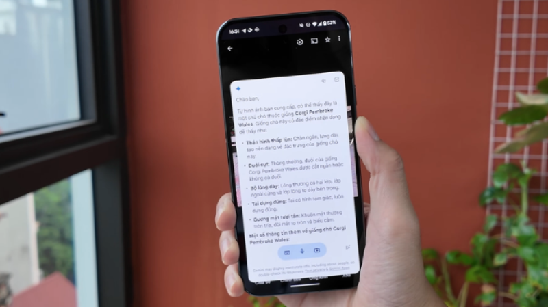 So sánh Vivo X200 Ultra và Google Pixel 9 Pro XL - hình 9