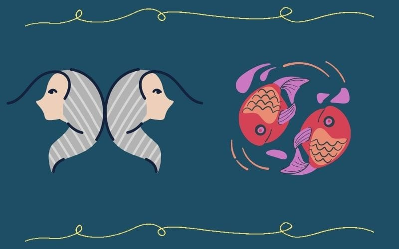 song ngư và song tử có hợp nhau không.png