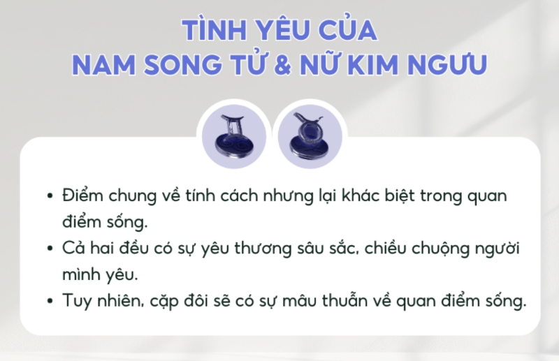 Song Tử và Kim Ngưu có hợp nhau không? (hình 7)
