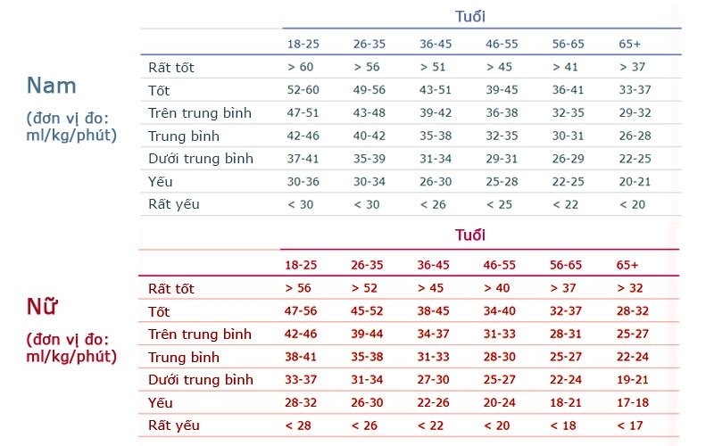 SpO2 và VO2 max là gì 4