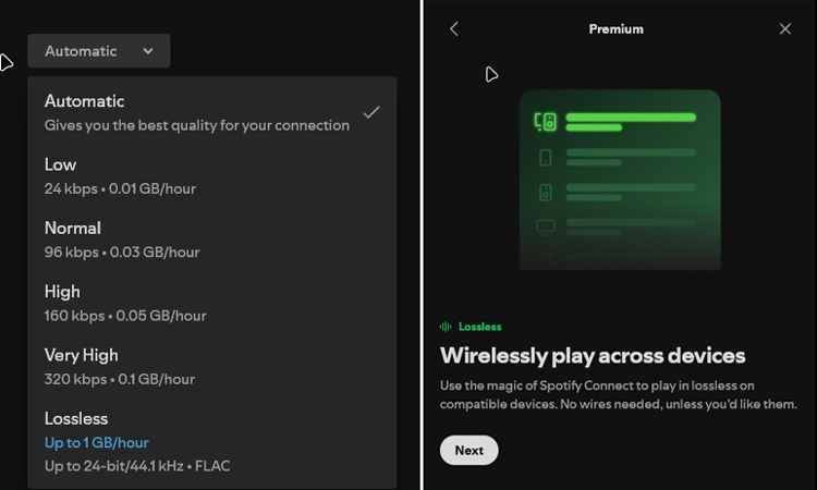 Spotify HiFi đã đến rất gần, Lossless chính thức xuất hiện trong giao diện và mã nguồn - hình 1