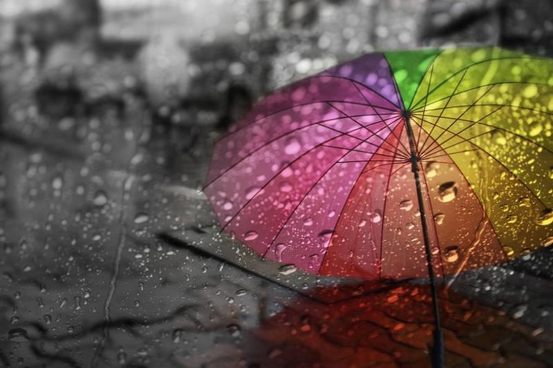 STT cảm xúc ngày mưa ảnh 1