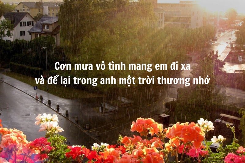 STT cảm xúc ngày mưa ảnh 3