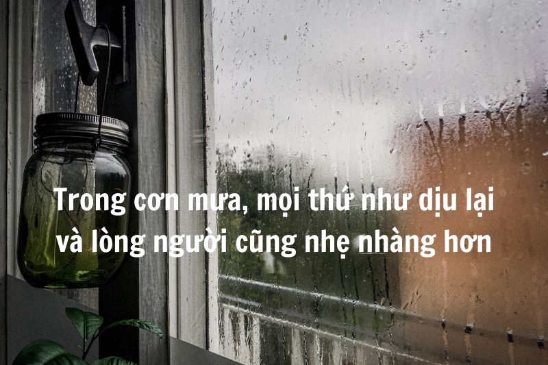 STT cảm xúc ngày mưa ảnh 4