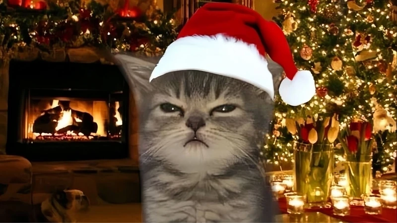stt noel hai huoc