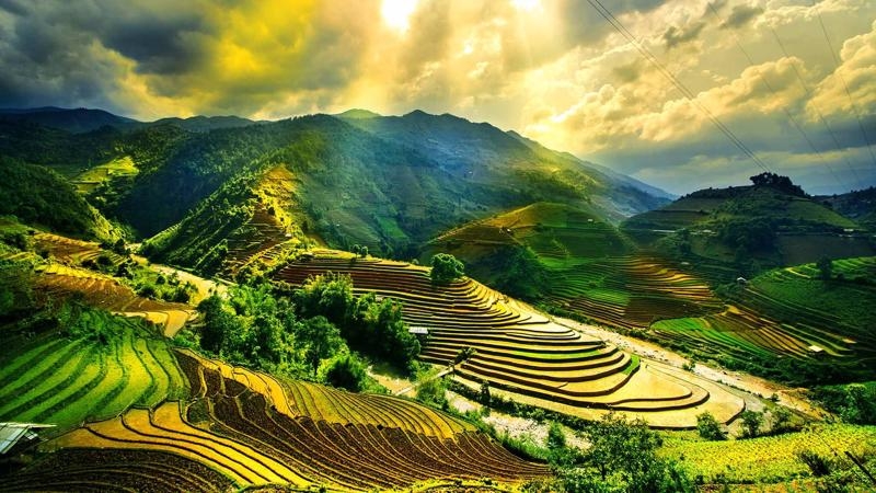 STT du lịch hài hước ảnh 2
