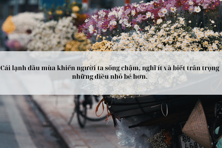 Stt gió mùa về 3