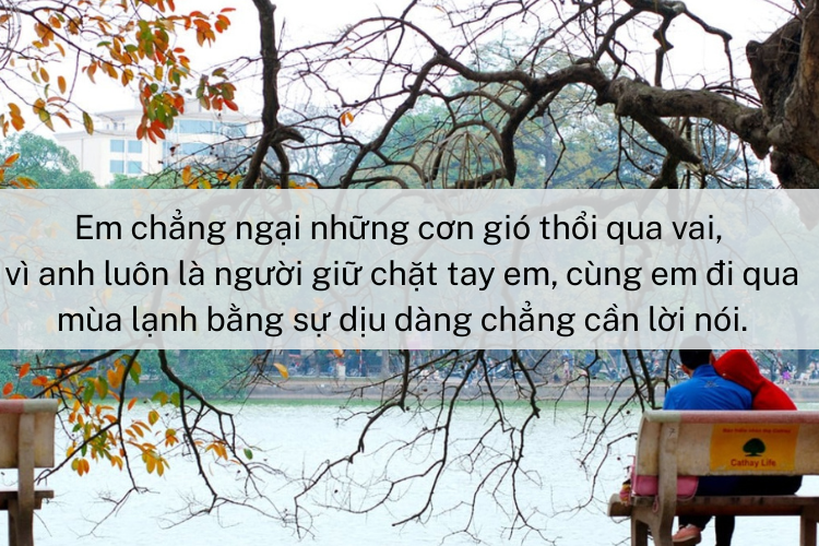 Stt gió mùa về 6