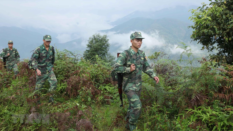 STT người lính - hình 2