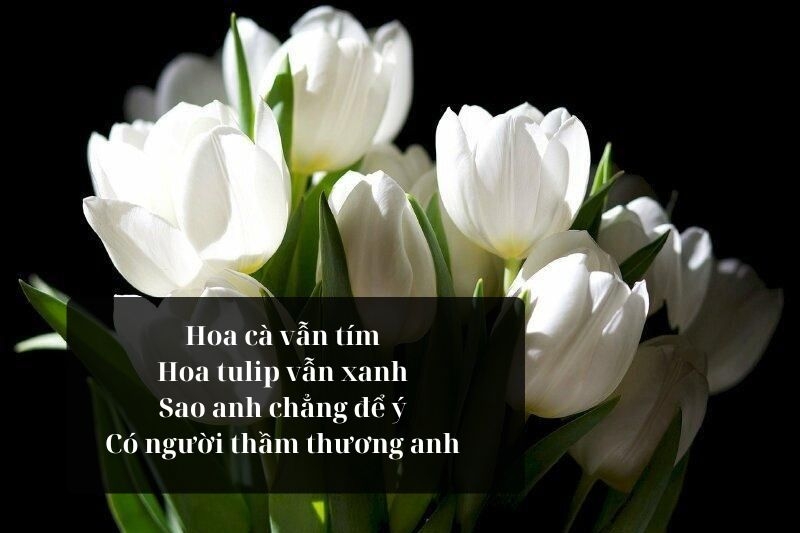 STT thả thính bằng món ăn ảnh 7