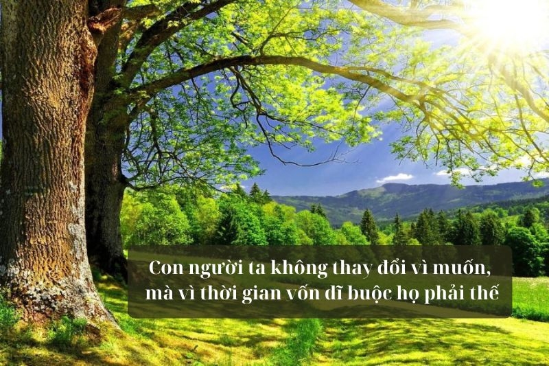 STT thời gian thay đổi con người ảnh 2