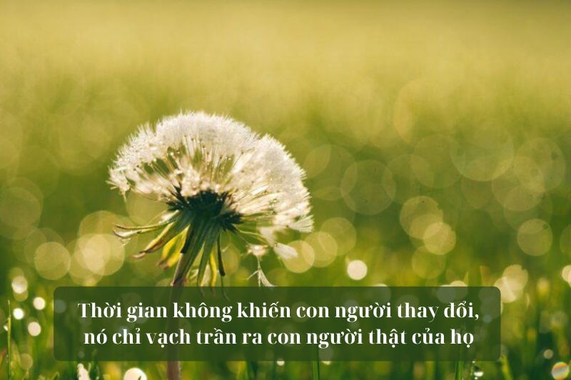 STT thời gian thay đổi con người ảnh 5