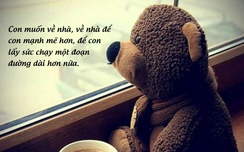 STT xa nhà (hình 1)