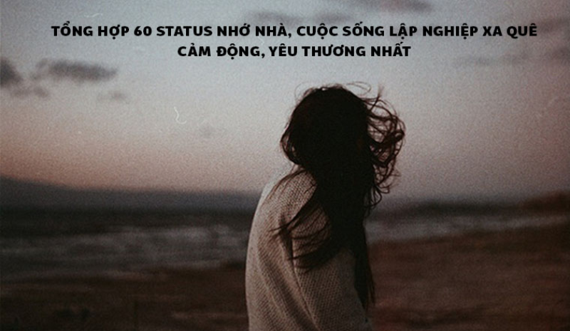 STT xa nhà (hình 6)