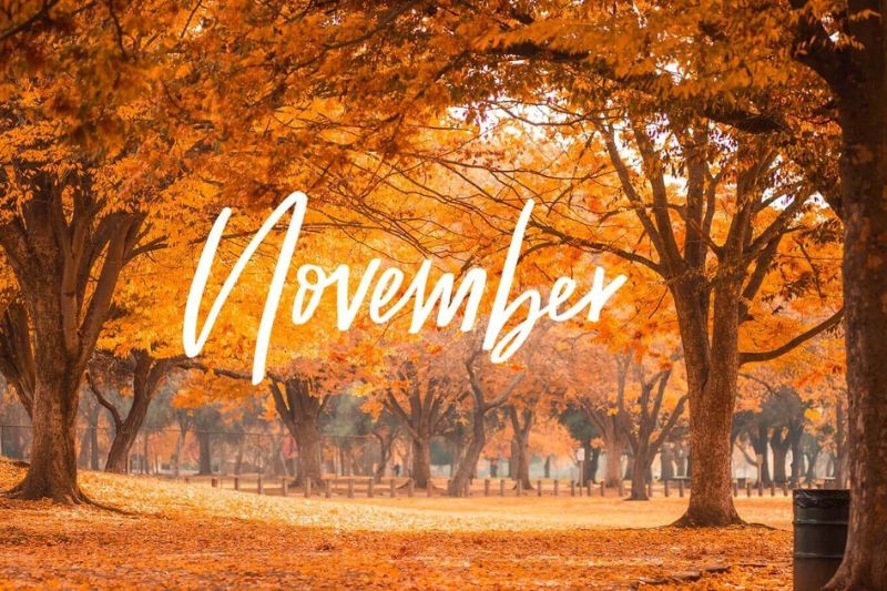 STT chào tháng 11 ảnh 1