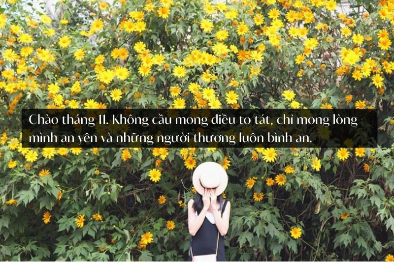 STT chào tháng 11 ảnh 2