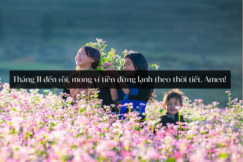 STT chào tháng 11 ảnh 4