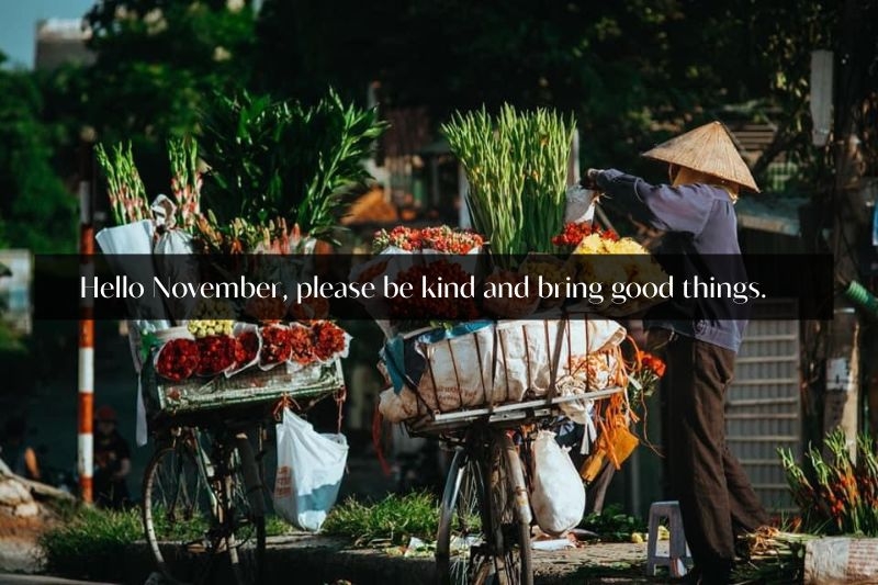 STT chào tháng 11 ảnh 5