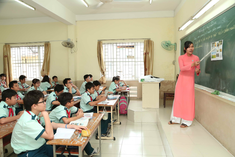 Sư phạm tiểu học thi khối nào - hình 2