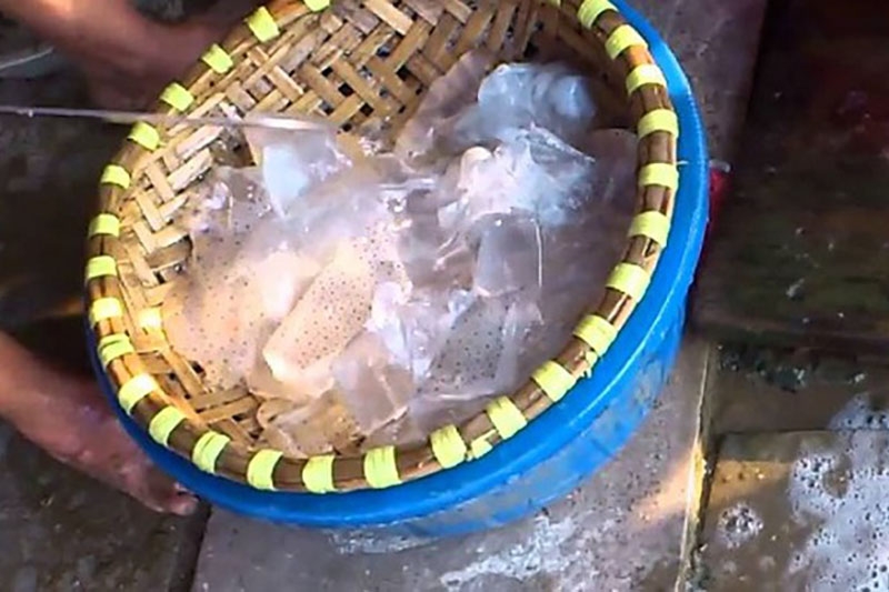 Sứa bao nhiêu calo? (hình 9)