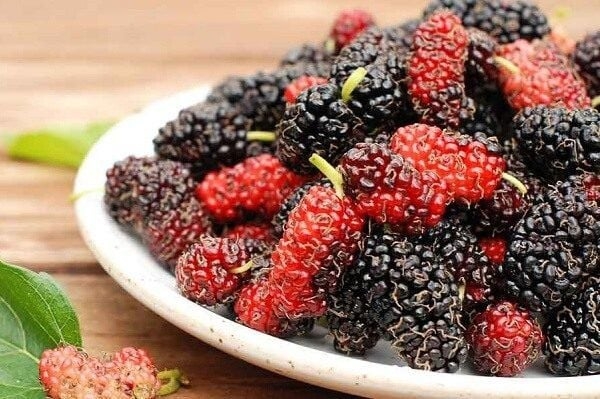 Sữa chua dâu tằm 2