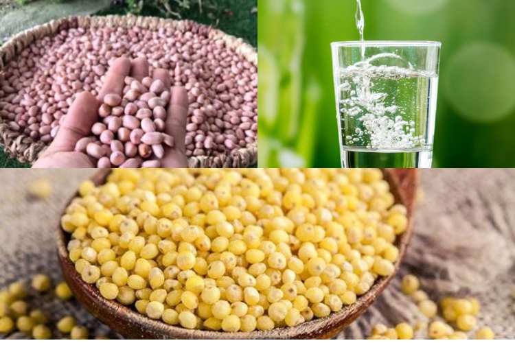 Sữa hạt kê đậu phộng 2