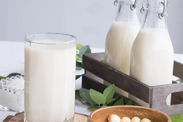 sữa hạt kê hạt sen 5