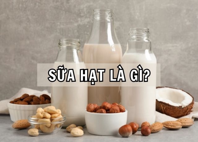 Sữa hạt là gì? Công dụng tuyệt vời dành cho sức khỏe và những lưu ý khi sử sụng