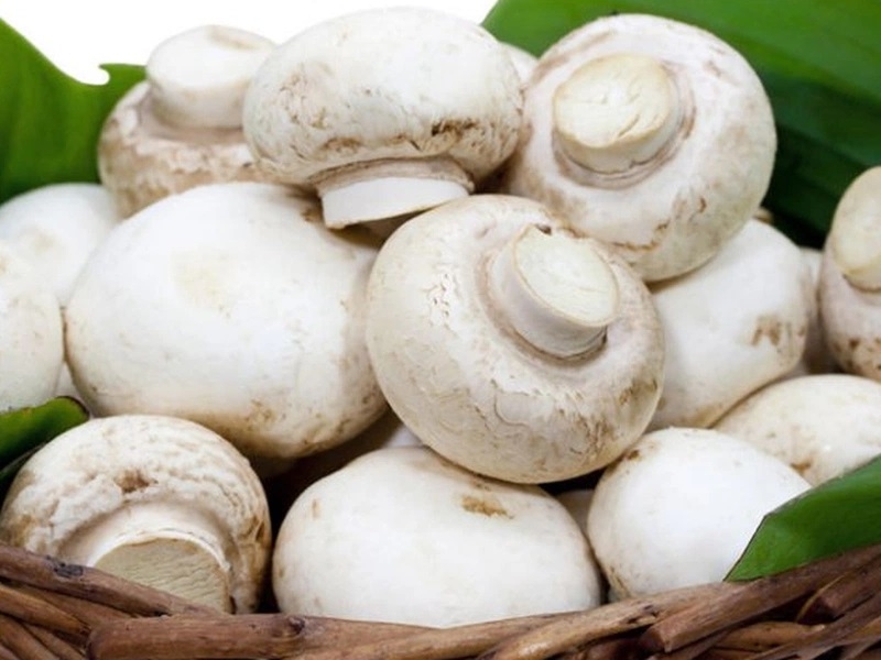 súp gà kem nấm 7