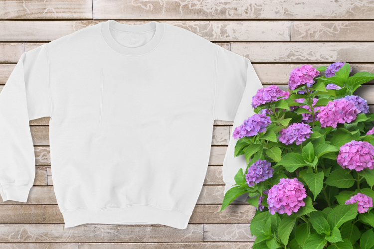 Sweatshirt là gì hình 2