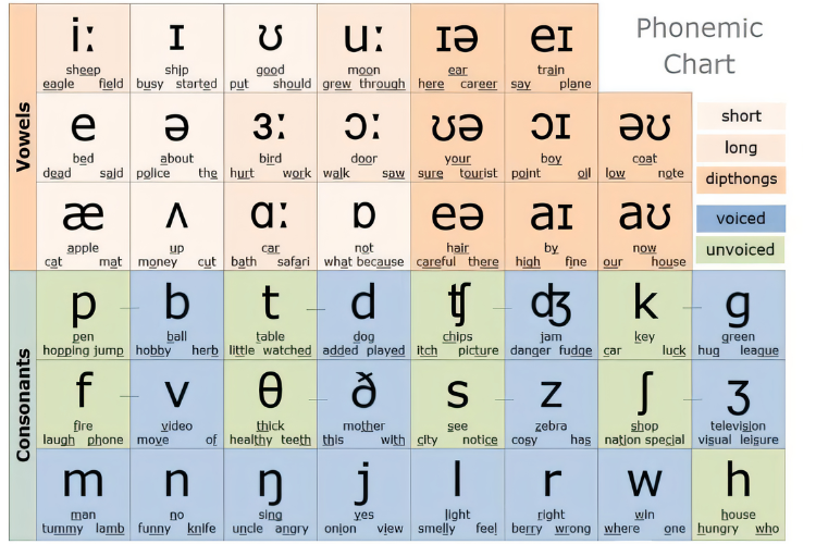 syllable là gì 5