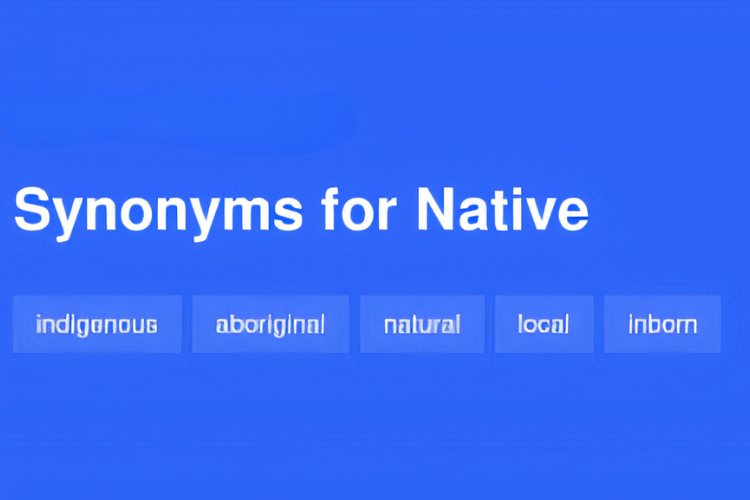synonym là gì 5
