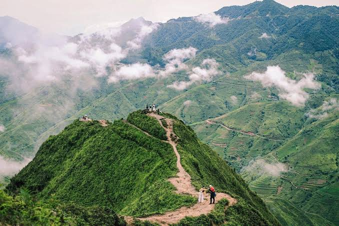 Sống lưng khủng long Háng Đồng