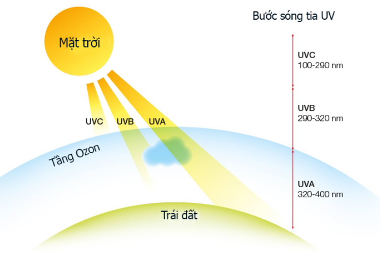 tác dụng công nghệ tia UV trên máy hút ẩm 1
