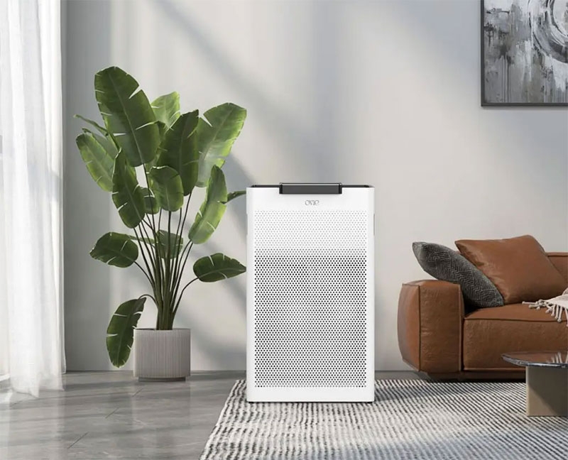 Tại sao phòng đóng kín vẫn có bụi hình 4
