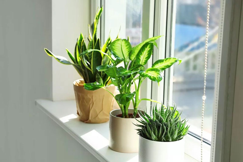 Tại sao phòng đóng kín vẫn có bụi hình 6
