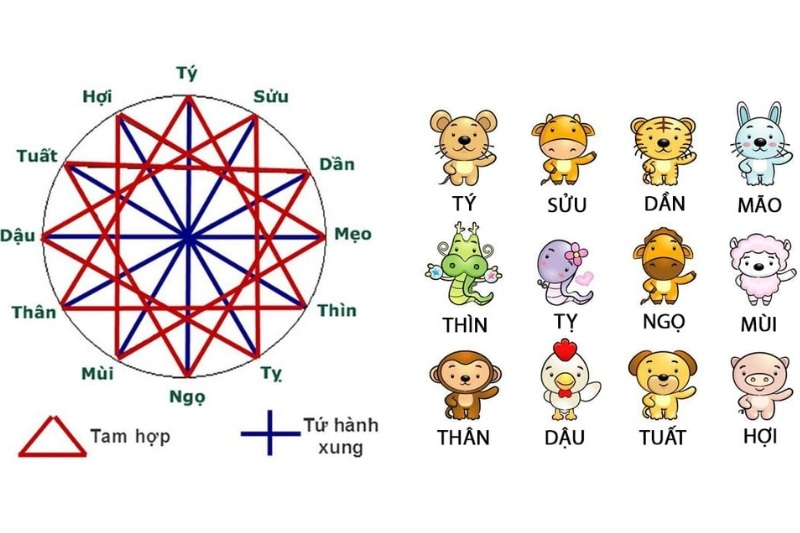 tam hợp là gì 2