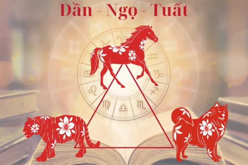 tam hợp là gì 3