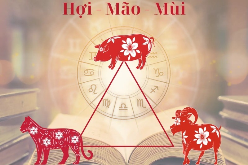 tam hợp là gì 4