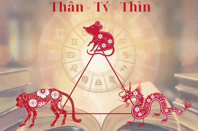 tam hợp là gì 5